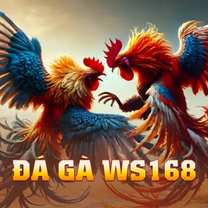 Đá Gà WS168