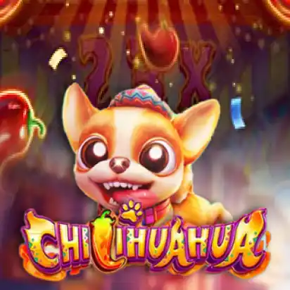 CHILIHUAHUA