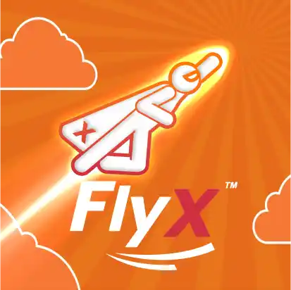 FlyX